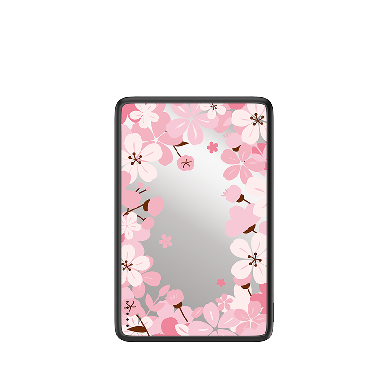 CASEBANG - Magsafe Power Bank - Secret Garden Series